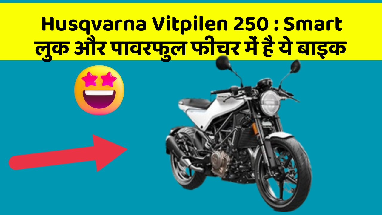 Husqvarna Vitpilen 250 : Smart लुक और पावरफुल फीचर में है ये बाइक